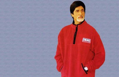 Amitabh Bachchan image number 12