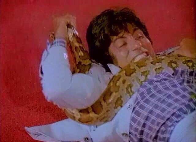 Amitabh Bachchan image number 135