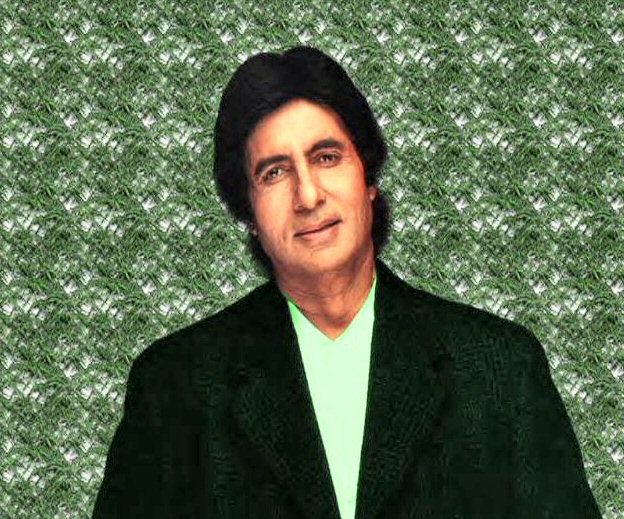 Amitabh Bachchan image number 31
